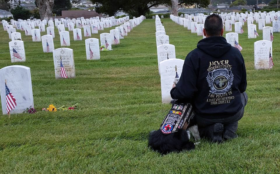 Save both Veterans and Rescued Dogs today!