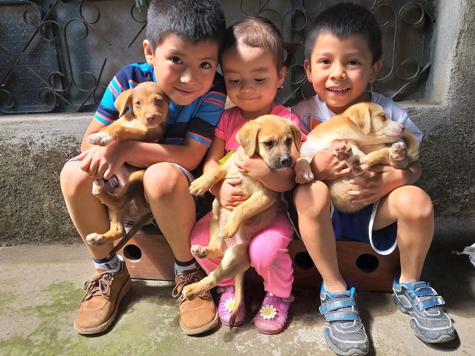 Funding The Integral Heart Family School in 2019