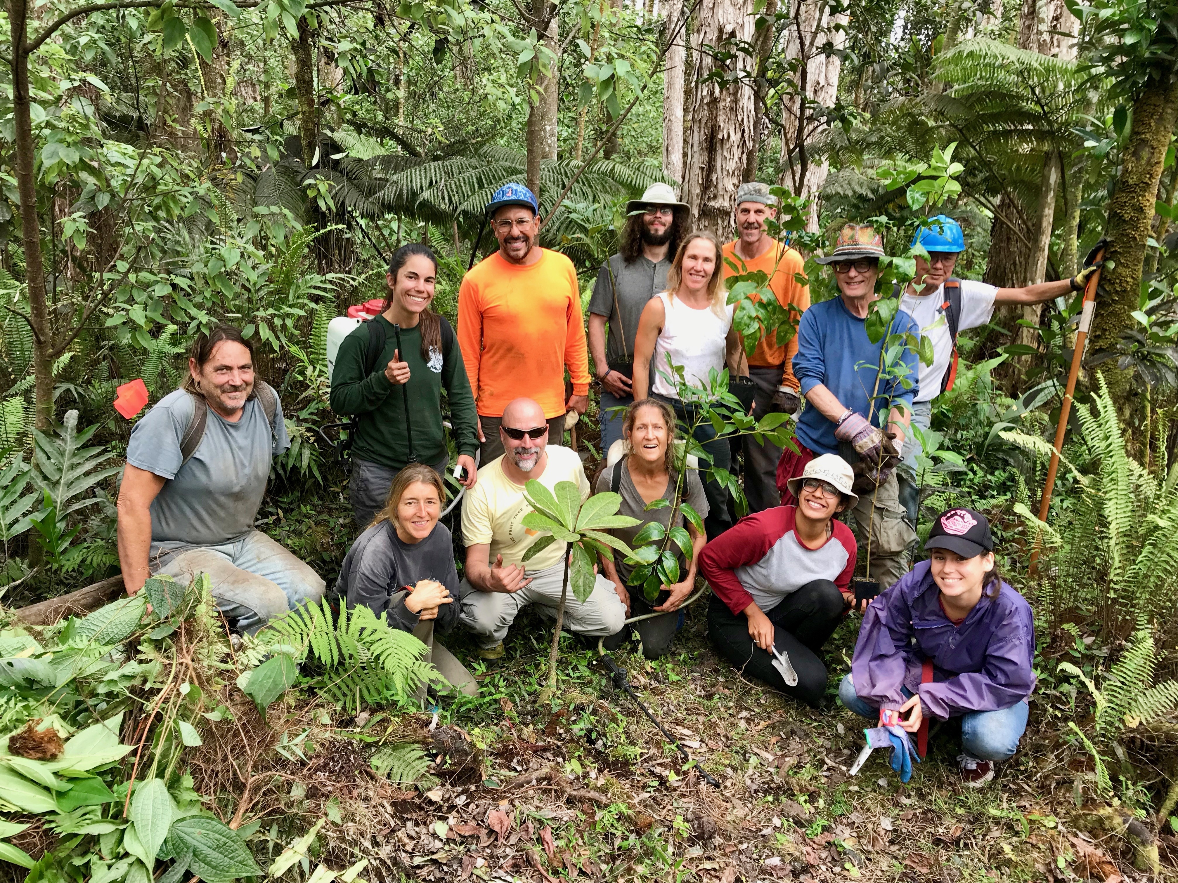 Planting native trees to save Hawaiian forests