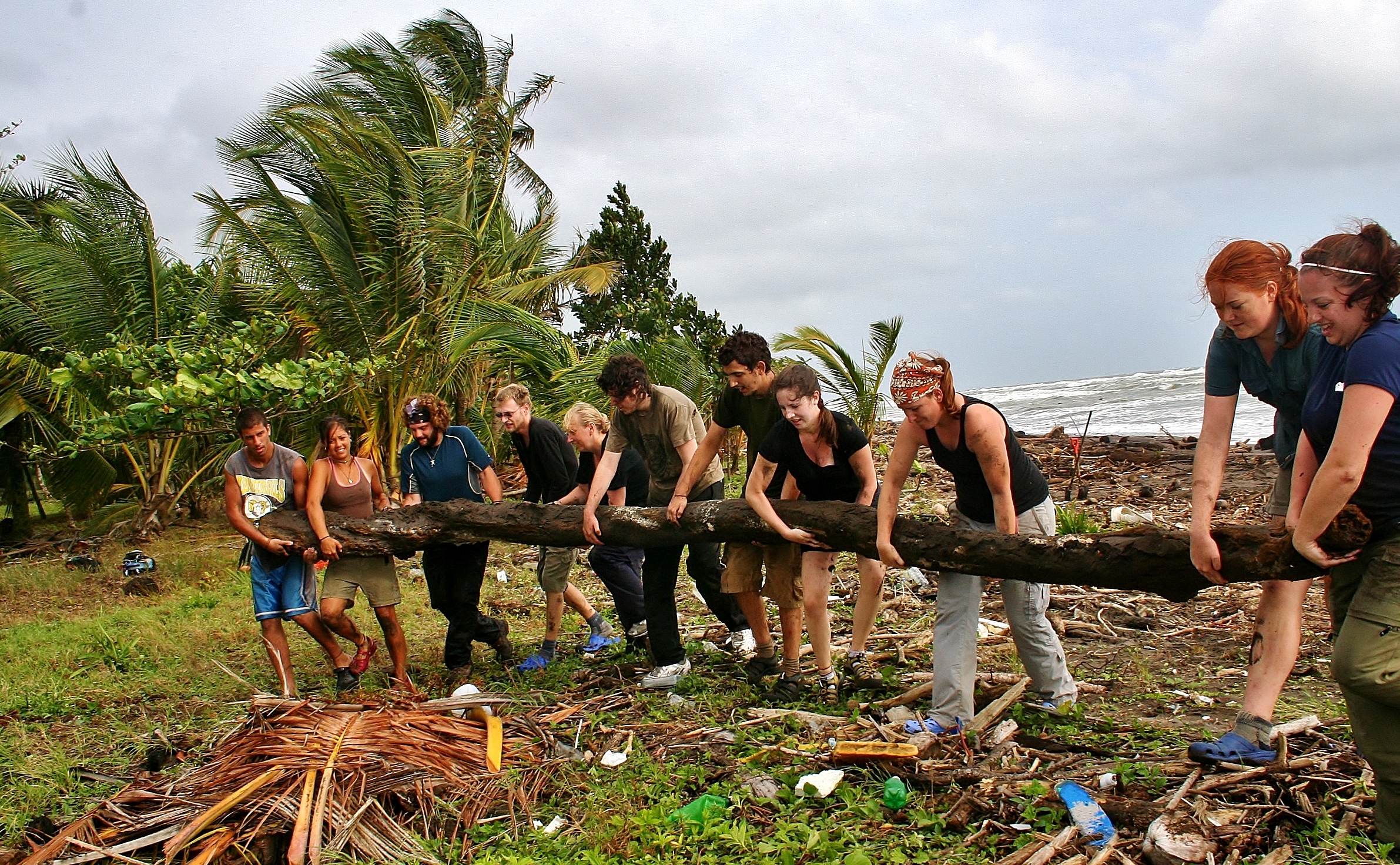 Reforestation: Bringing the Trees Back to Life