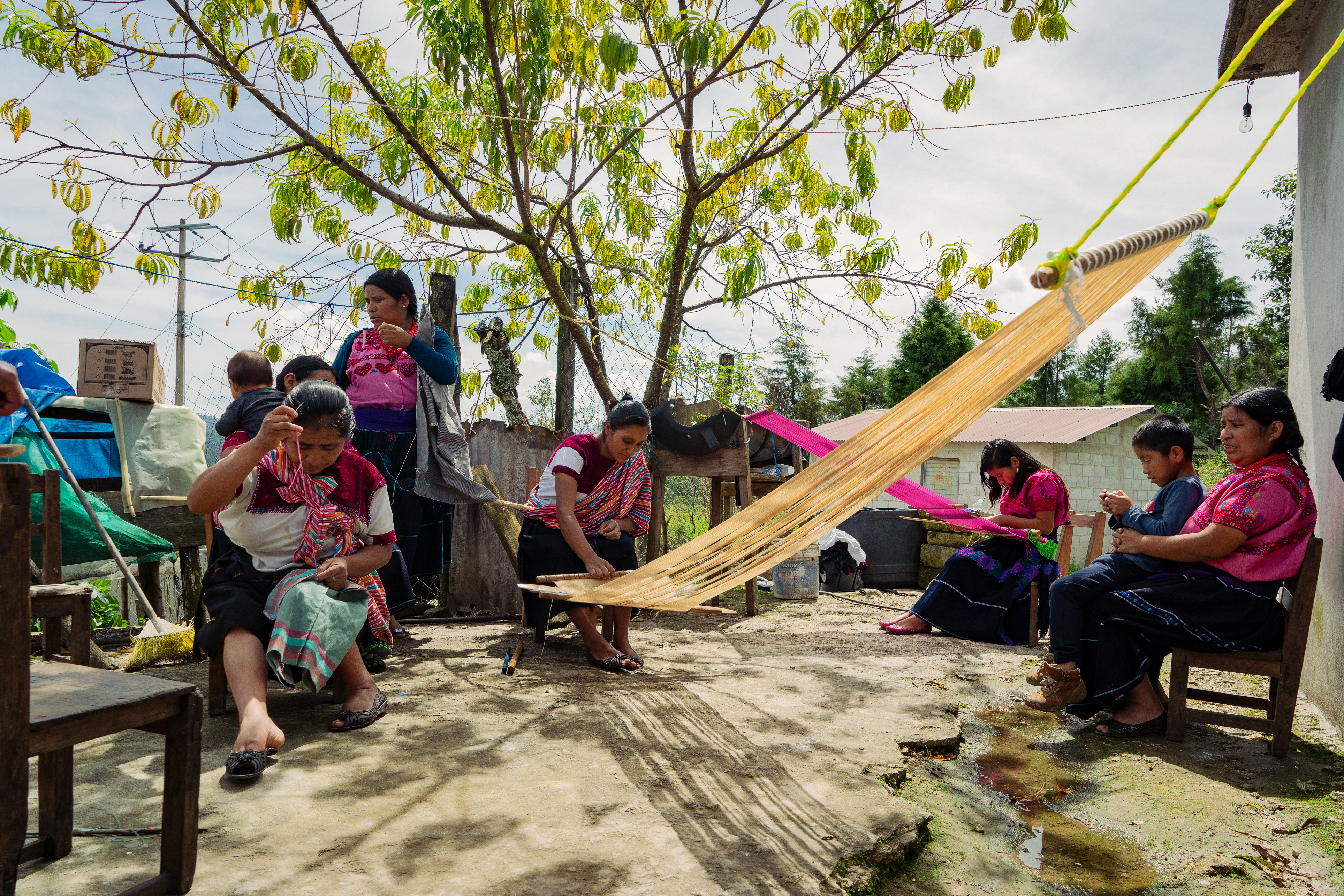 Pathways to autonomy: tzotzil women's empowerment