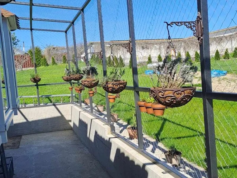 Ongoing support for elderly and disabled cats