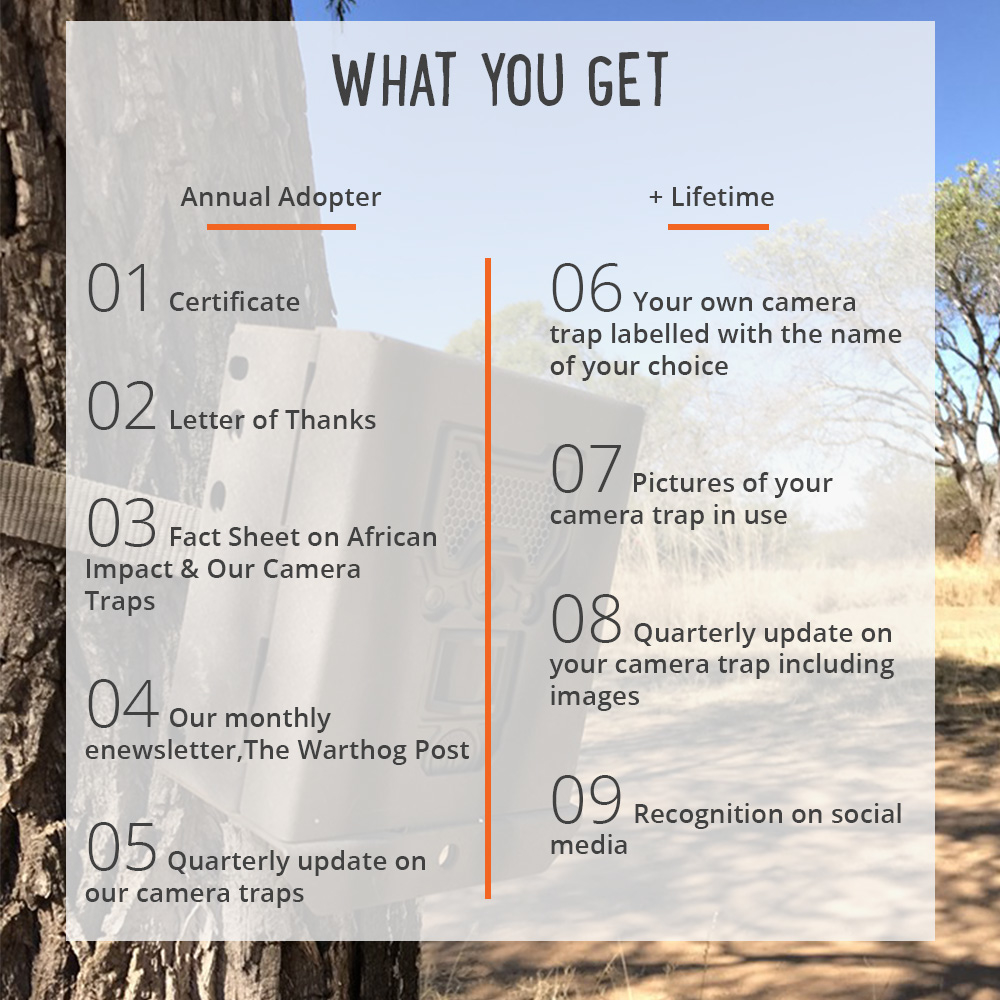 Adopt a Camera Trap - Greater Kruger, South Africa