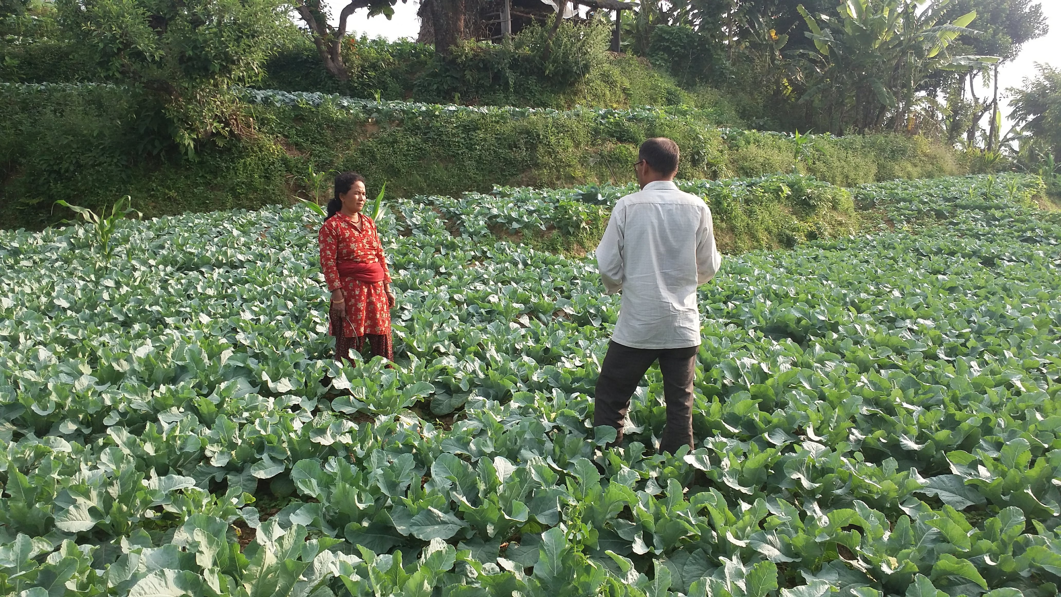 Save life of flood affected victims in Nepal