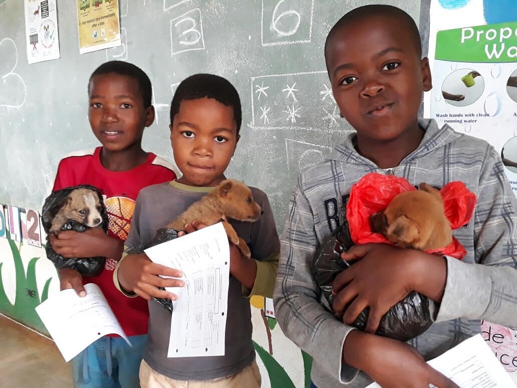 Spay and Neuter Cats and Dogs in Rural Eswatini
