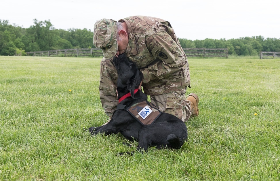 Support Mission Based Trauma Recovery for Vets