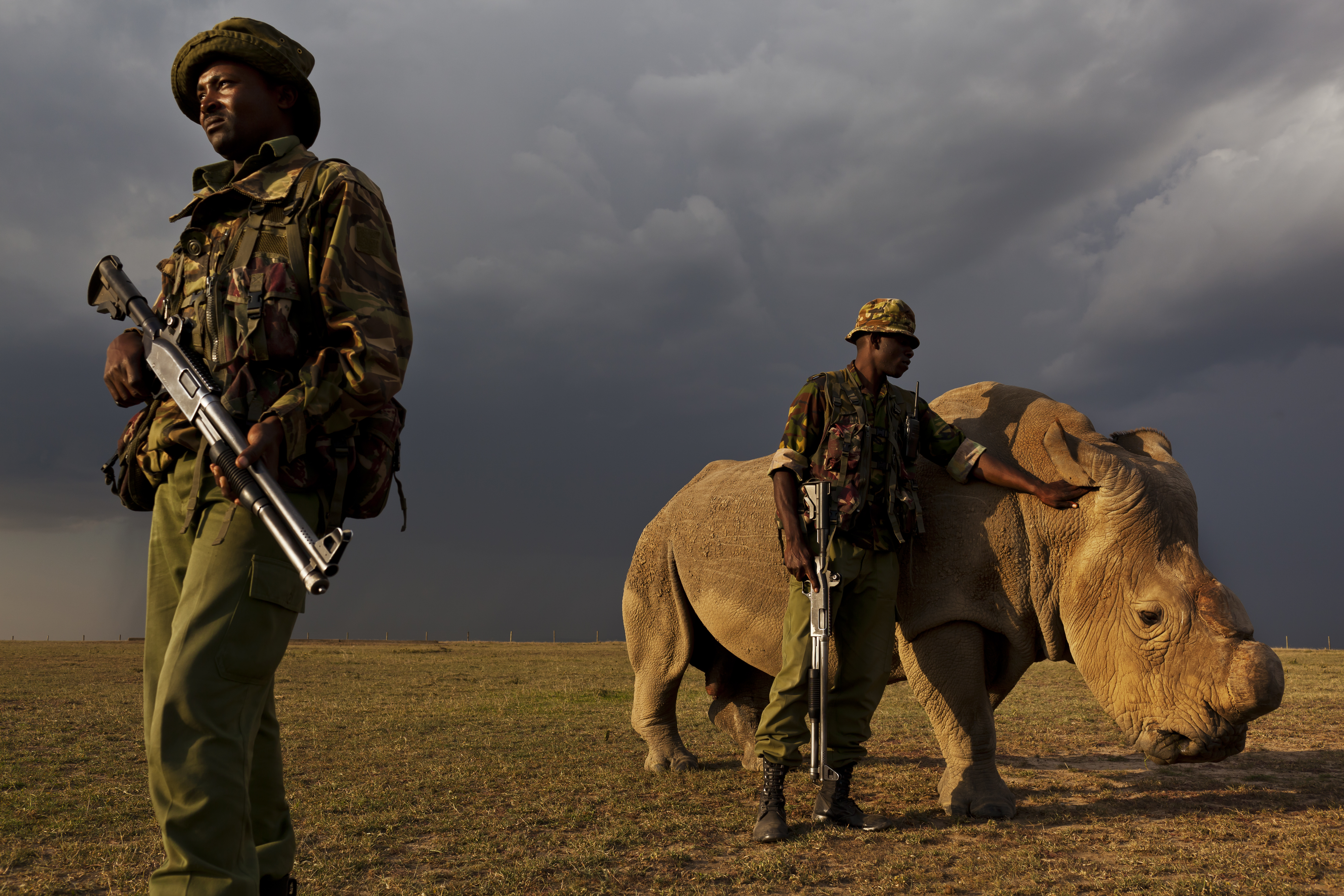 The Armed Rangers of Ol Pejeta