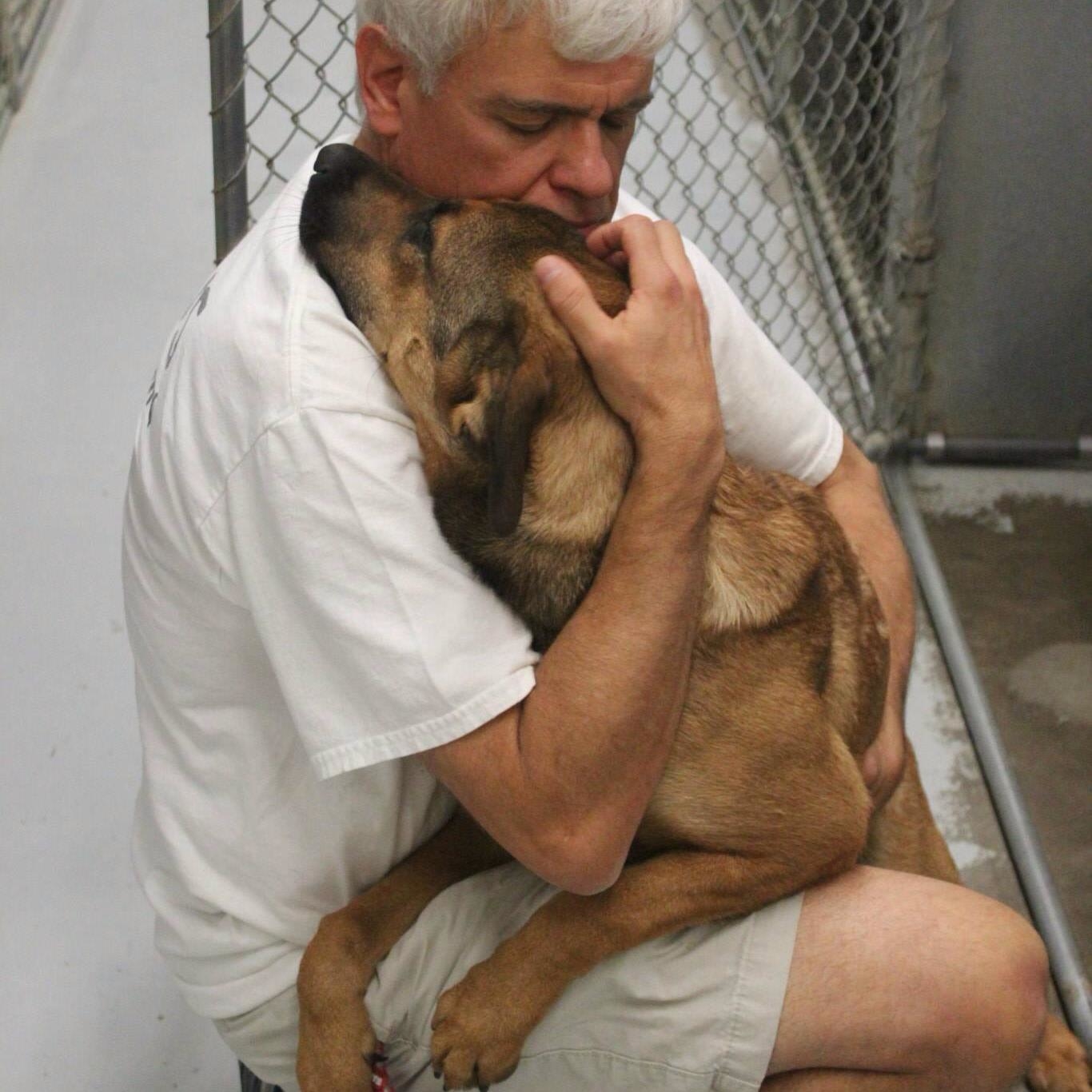 Rescue 80 Second Hand Dogs from the Deep South