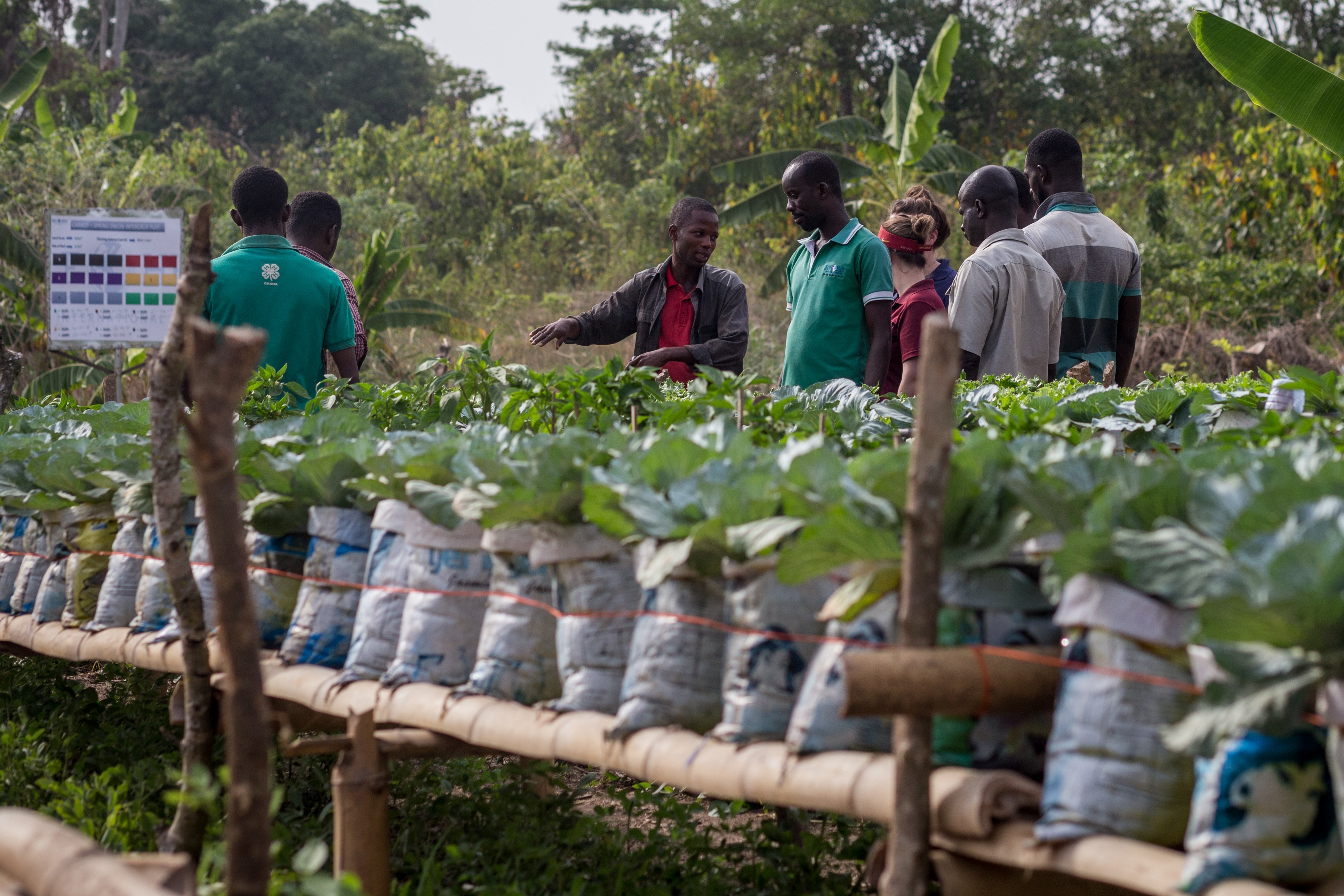 Develop Young Agribusiness Entrepreneurs in Ghana
