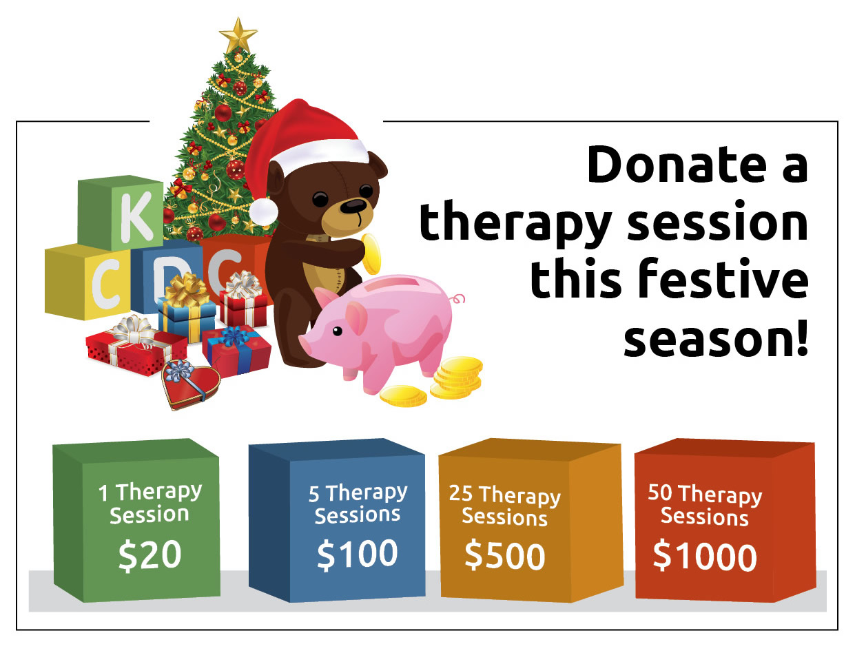Provide 500 therapy sessions to disabled children