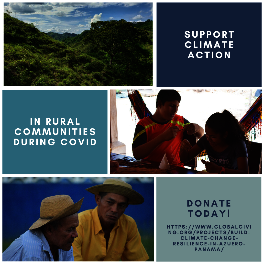 Climate action in rural communities during COVID