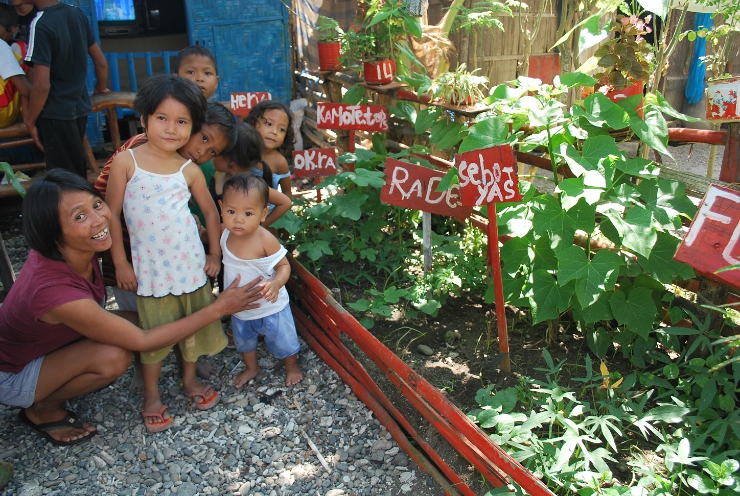 Taal Volcano Eruption Food Security Initiative