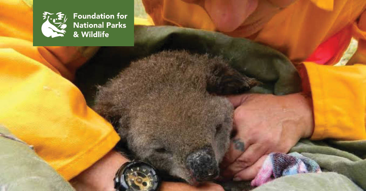 Wildlife Emergency Appeal