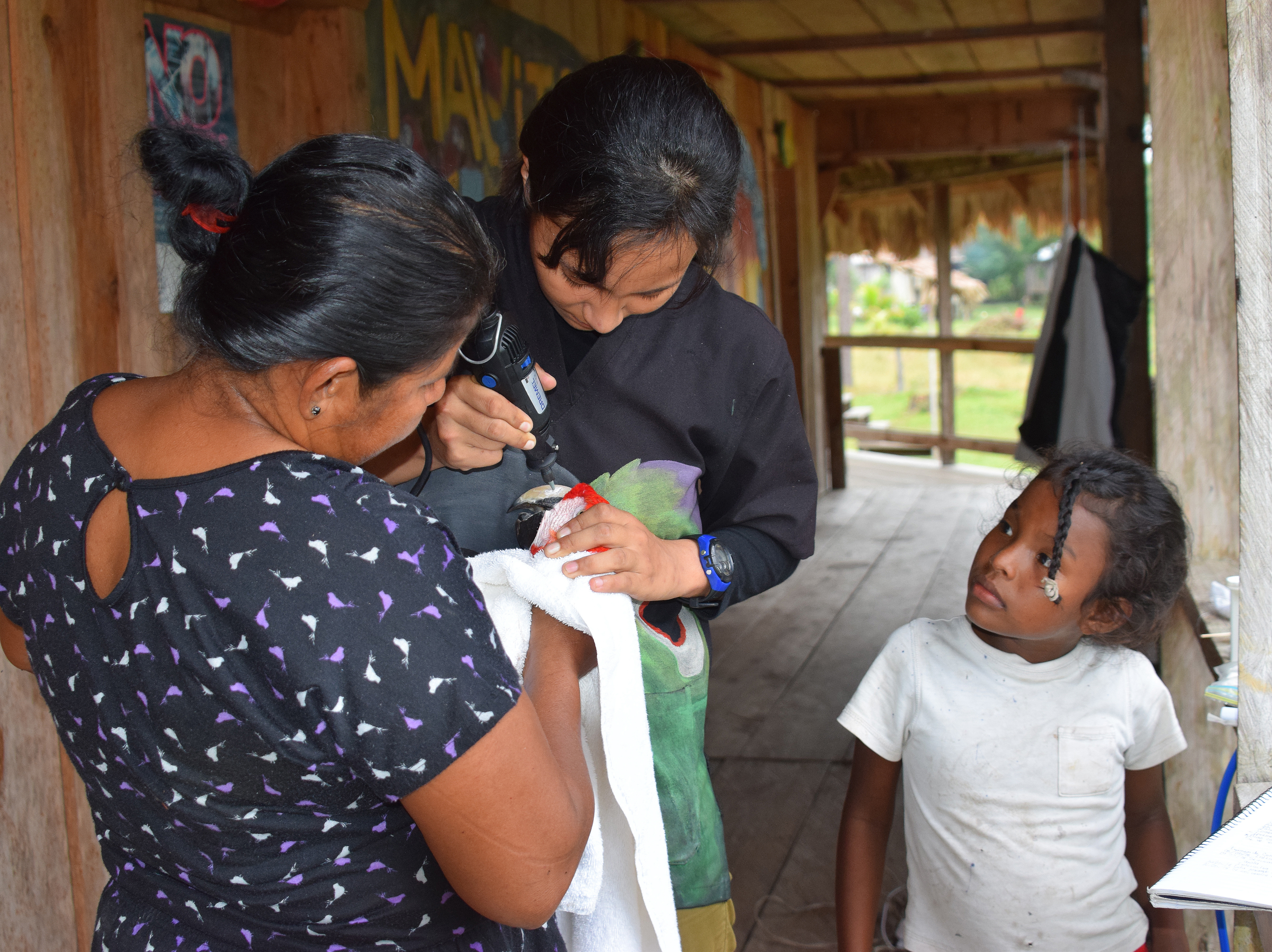 Fund 16 Honduran Women Saving Endangered Parrots