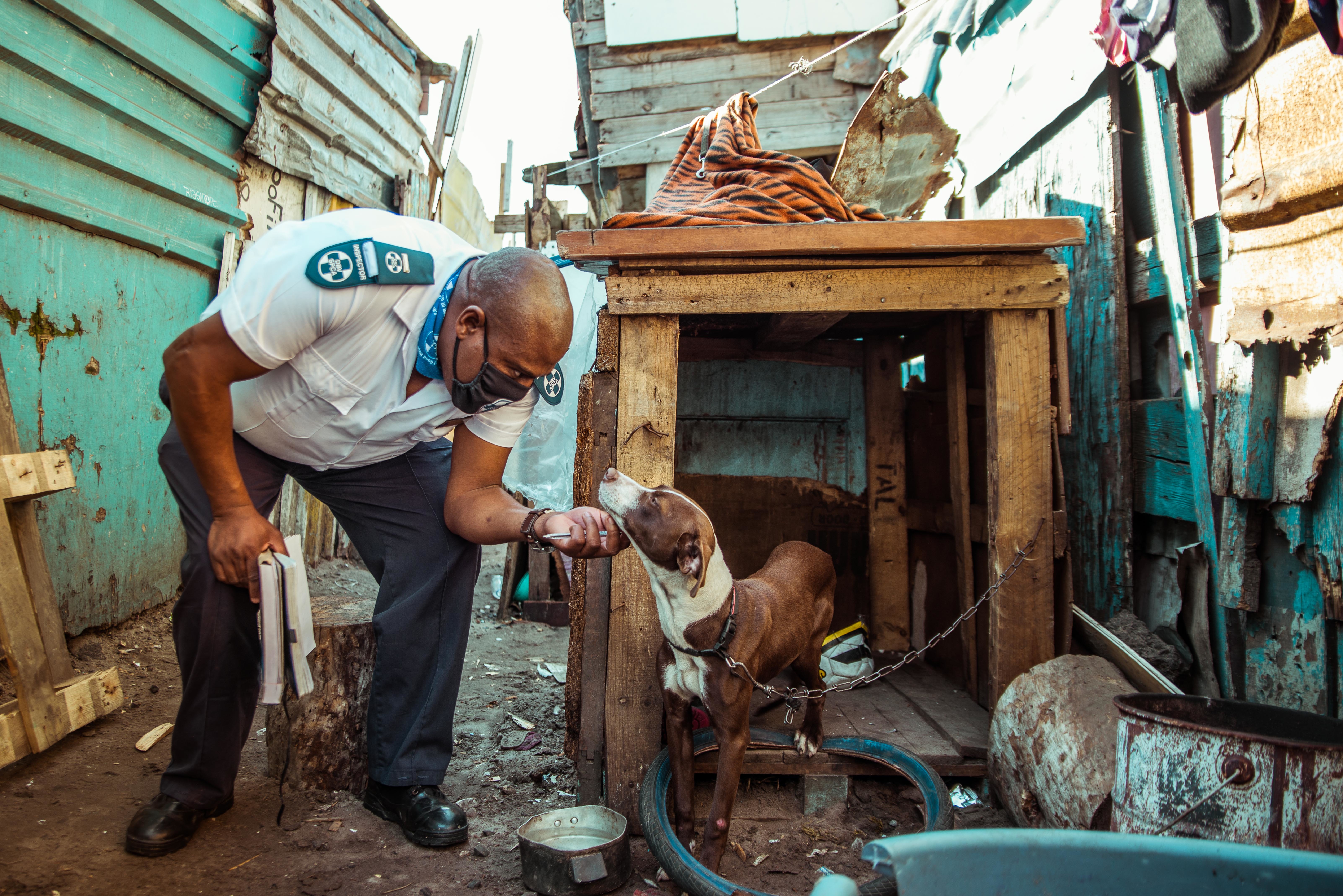 STERILISE 1000 ANIMALS AND PREVENT SUFFERING