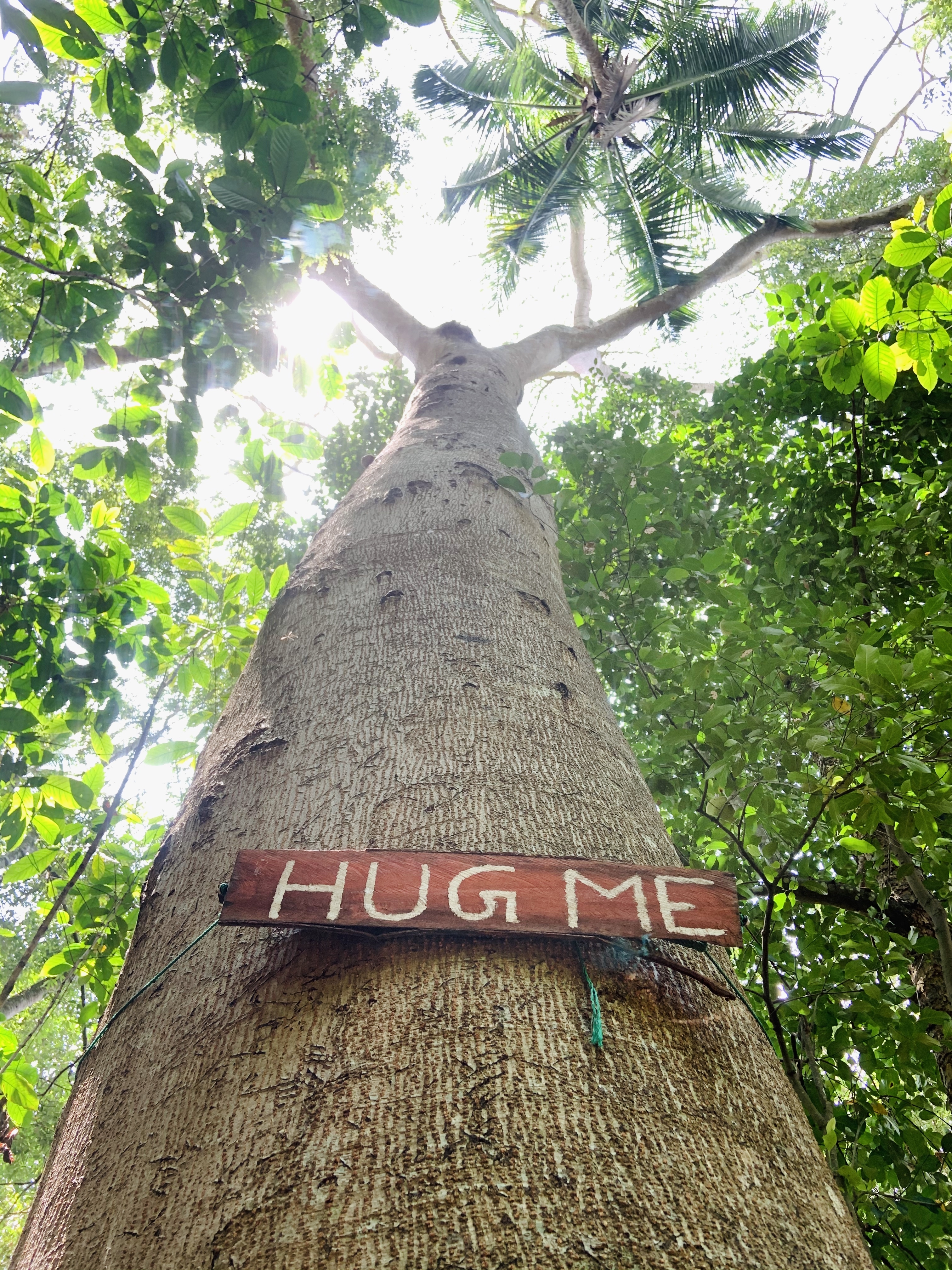 Protect our Kandyan Forests