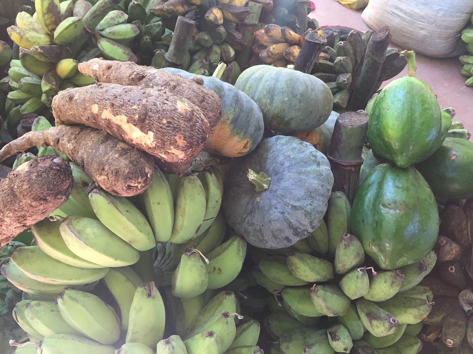 Provide Gift of Farming Inputs to Poor Farmers