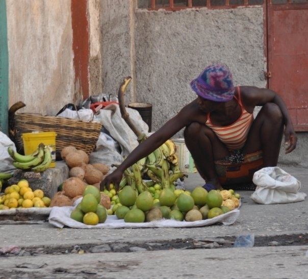 Help Families in Haiti Get Back to Work