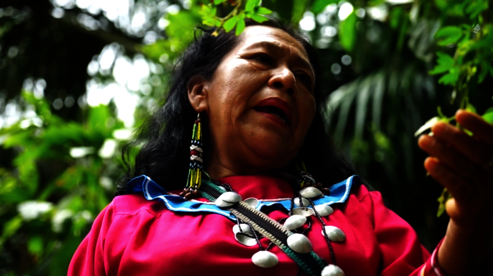 Emergency Fund for Shipibo Healers & Local Workers