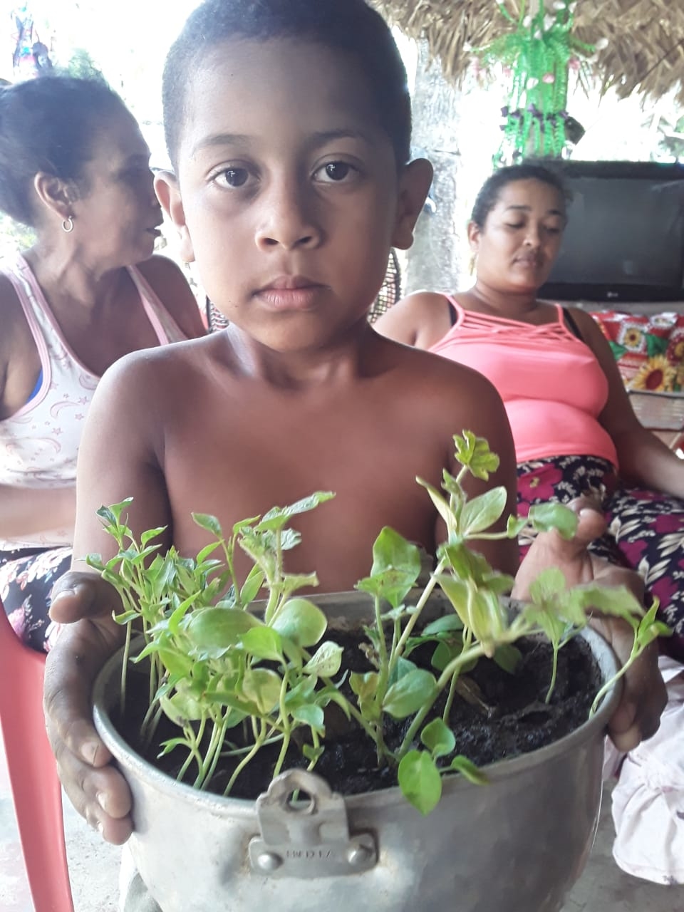 Vegetable Gardens for Food Security in Ayapel