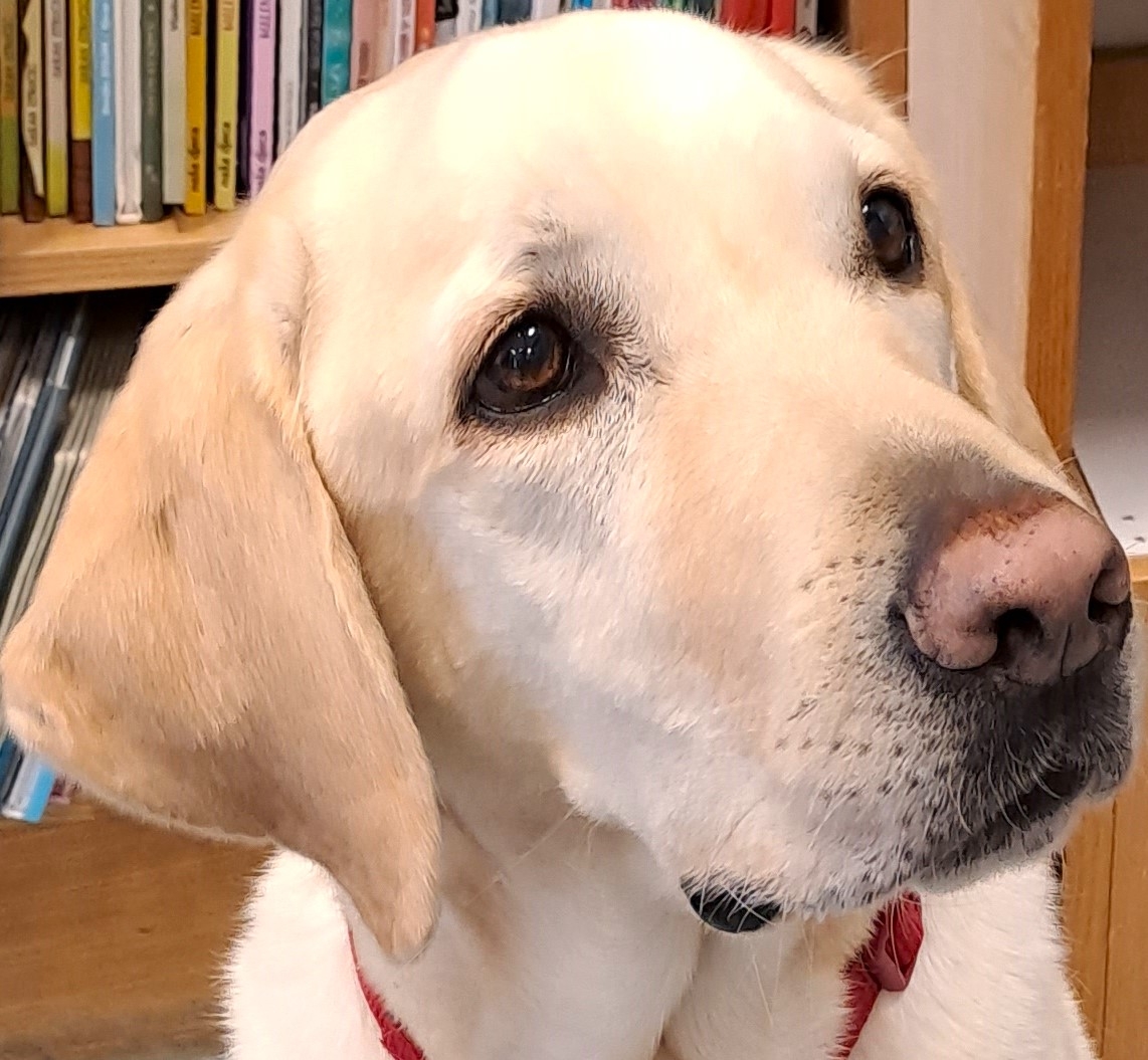 WE EMPOWER CROATIAN CHILDREN TO OVERCOME FEARS