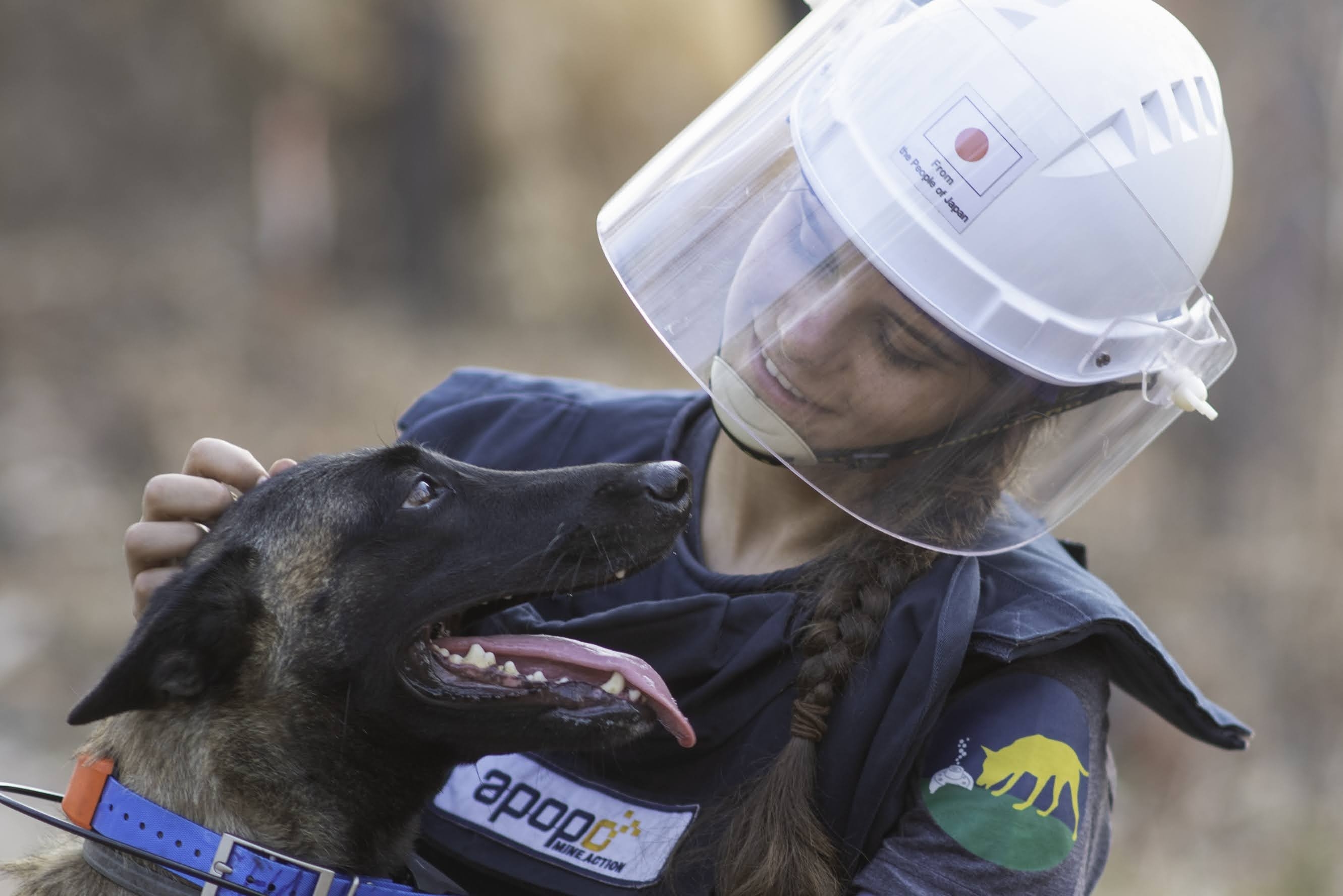 Support APOPO's Minefield Survey HeroDOGs
