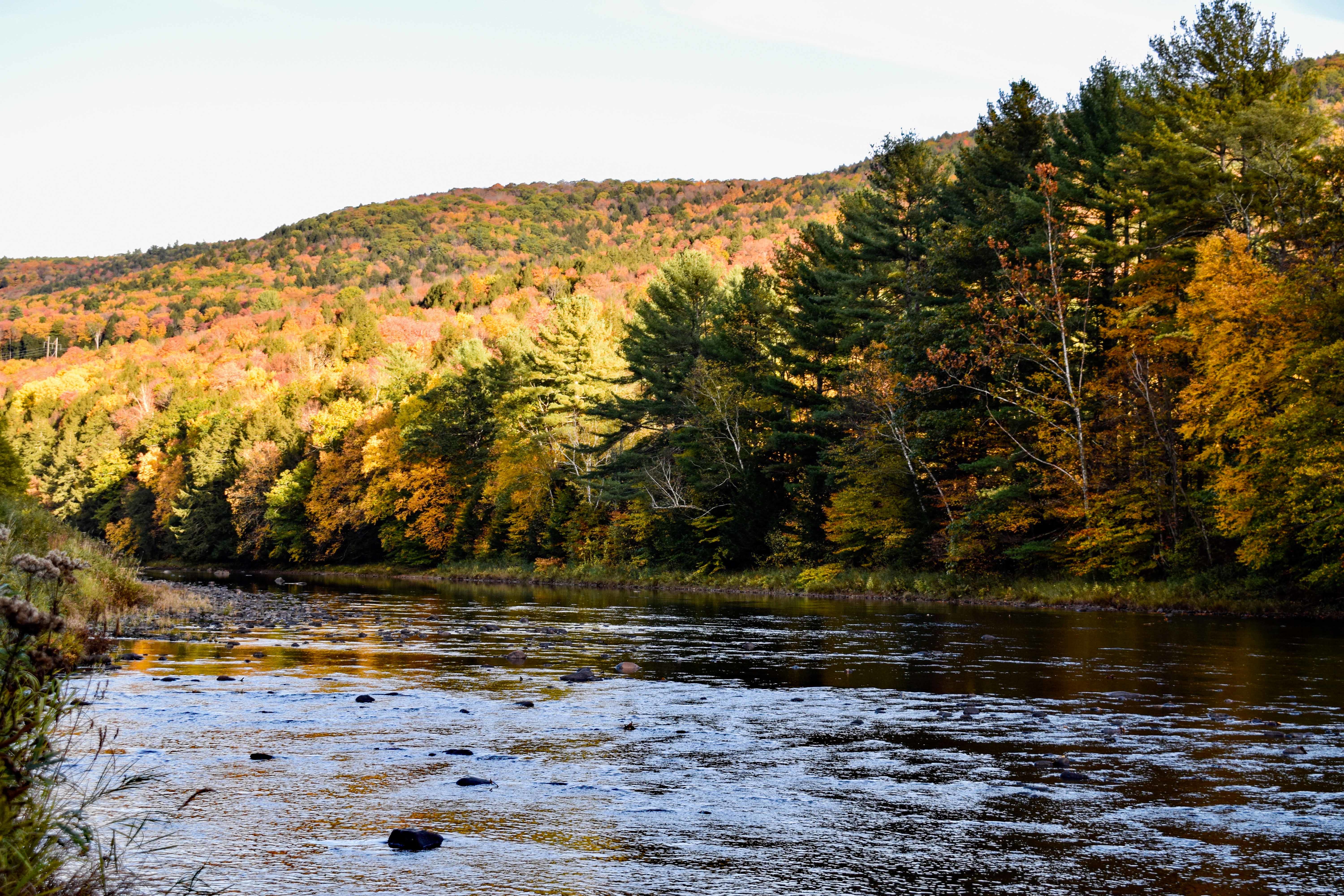 Deer Run Nature Preserve Phase 2