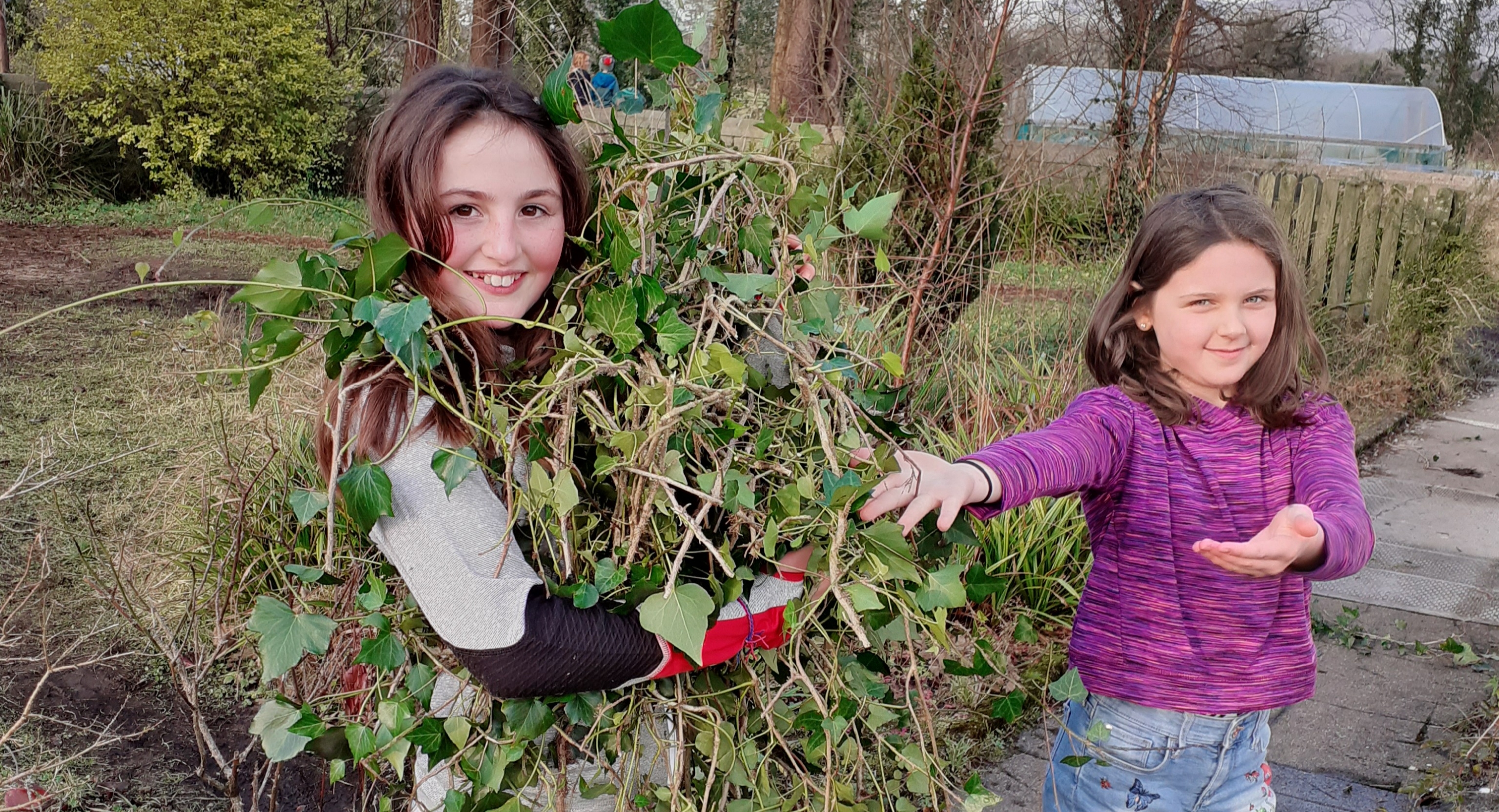 Reboot Education with Self Directed Learning