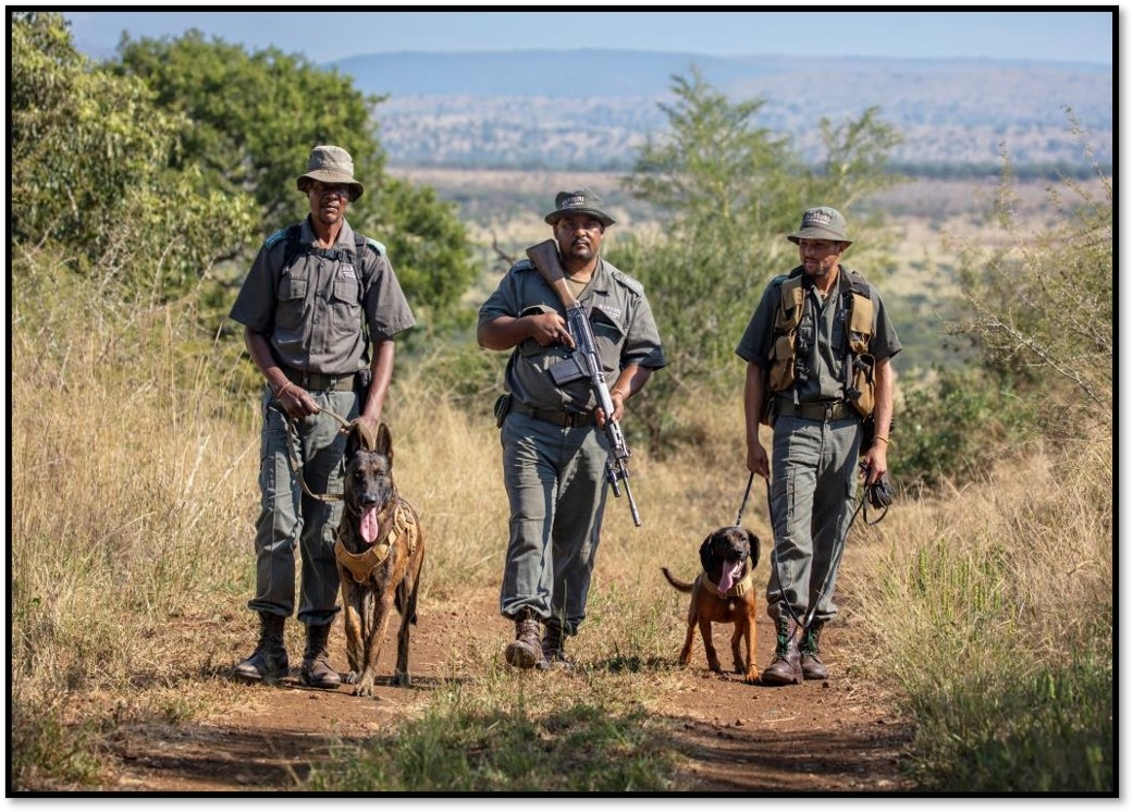 Endangered Species Protection Project