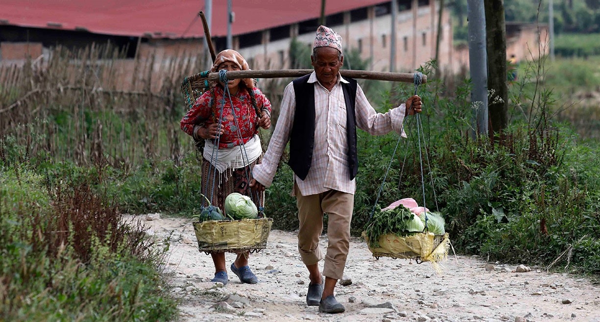 Seeds of Hope-self sustainable Agriculture Project