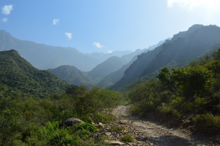 Wildlife and biodiversity conservation Malhan Rese