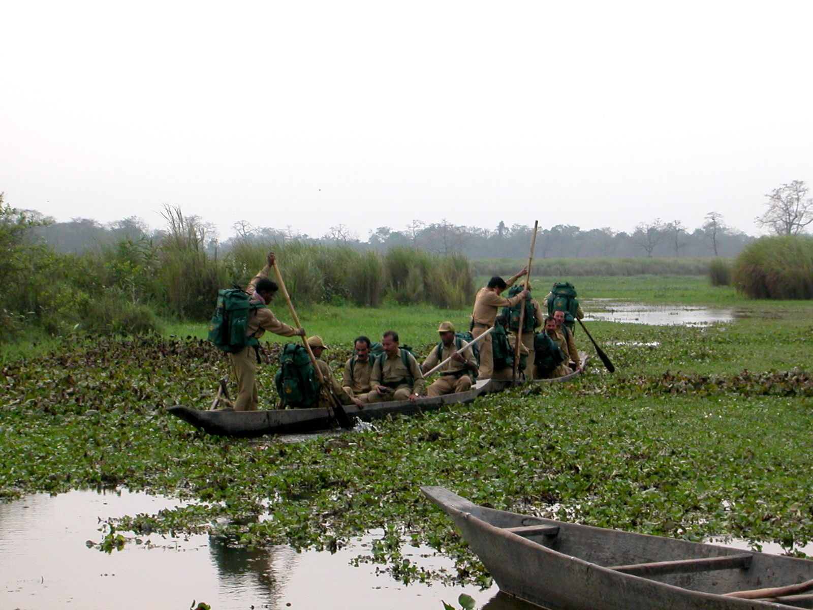 Thank our Forest Guards this World Ranger Day
