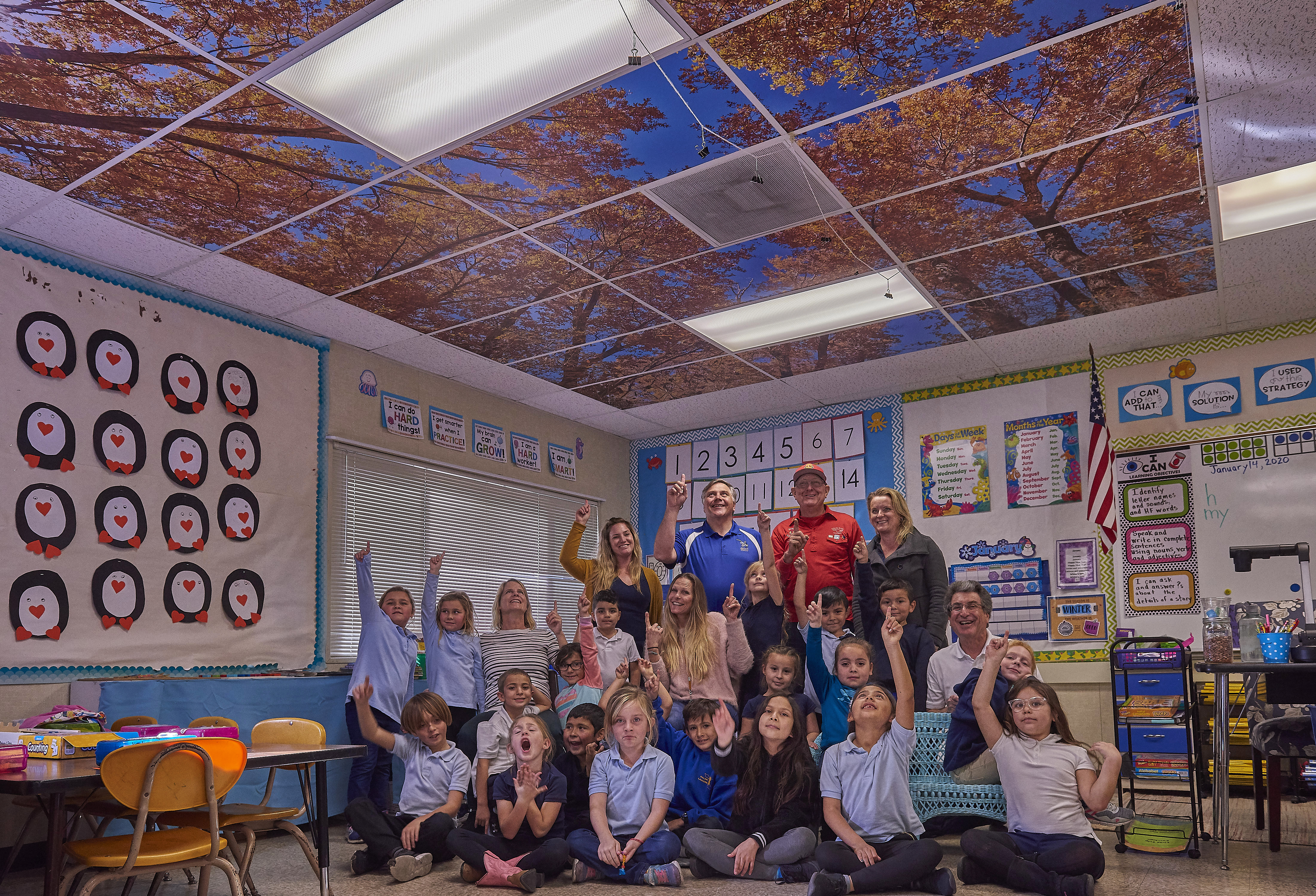 Enhancing Education With Tree Ceilings