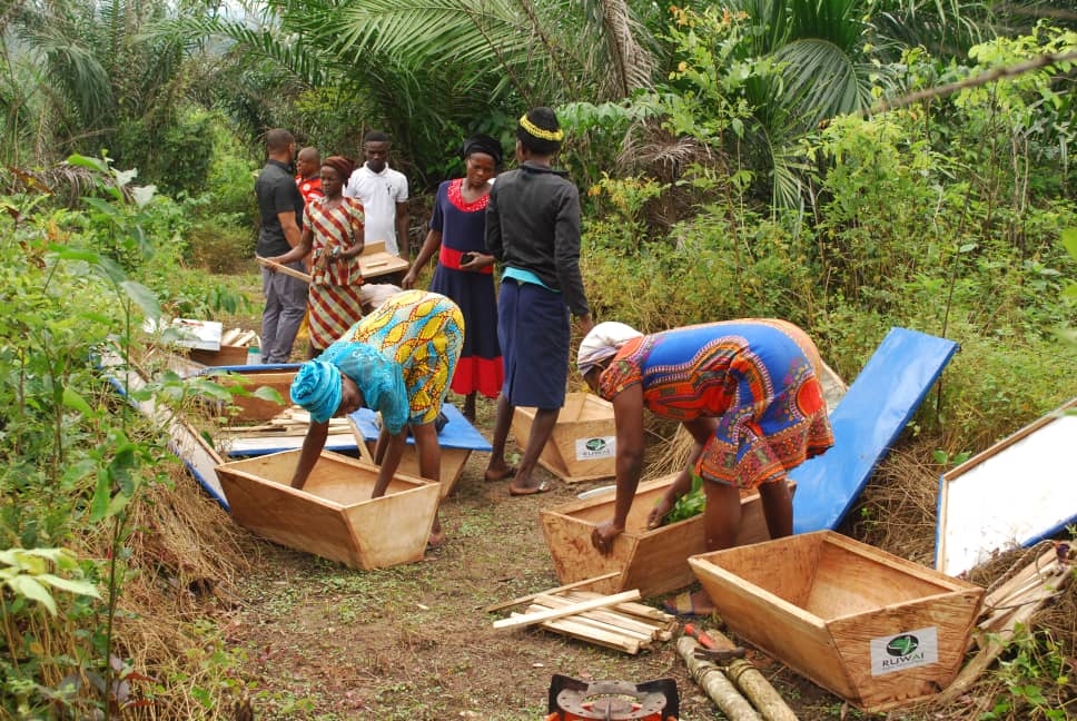EMPOWER 200 RURAL WOMEN AND YOUTH WITH BEEKEEPING