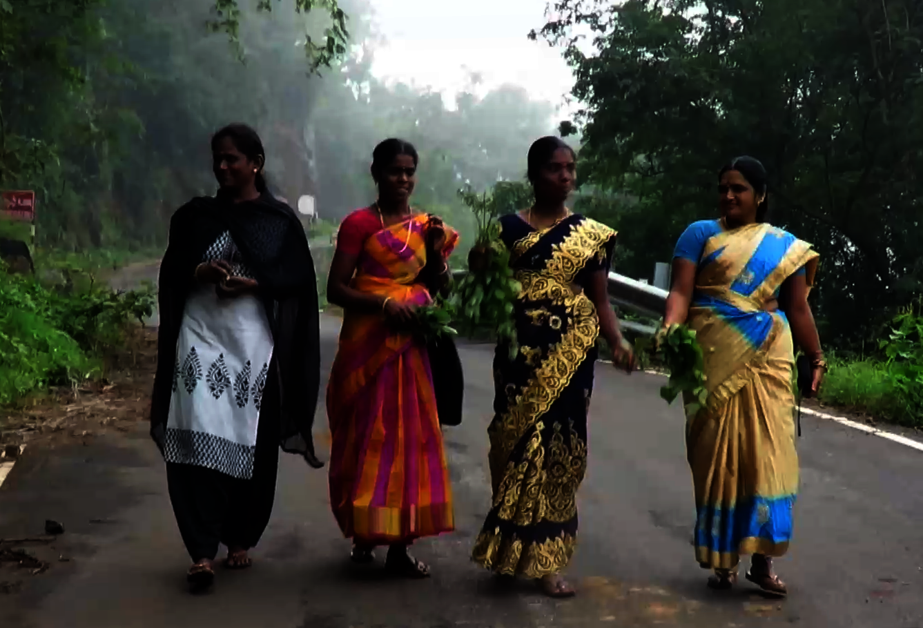 Forest Food Field School in Addukam India GlobalGiving