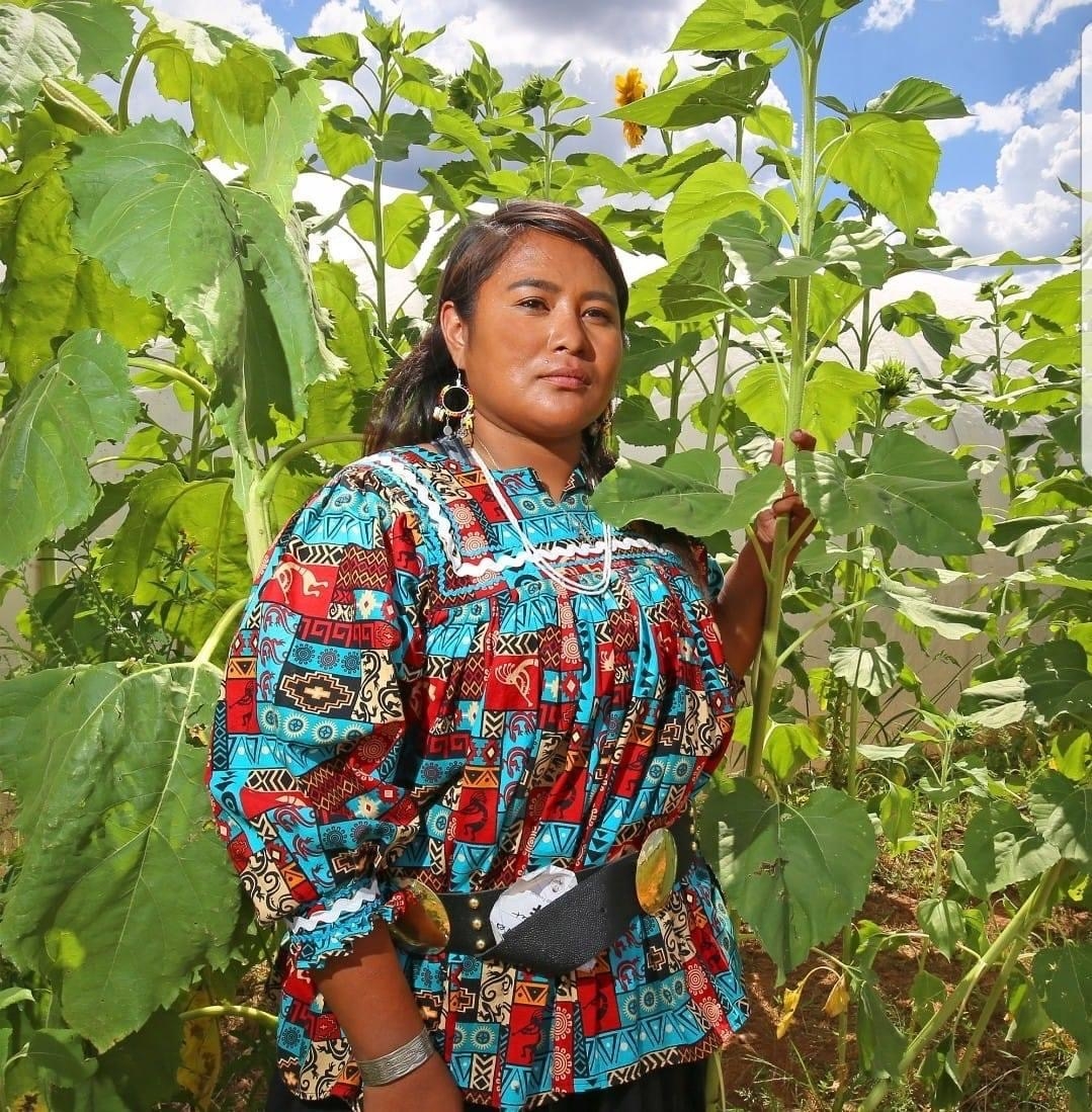 Decolonizing Education with White Mountain Apaches