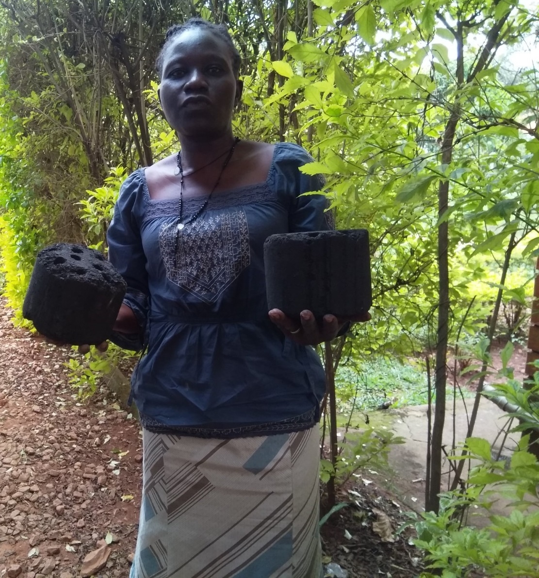 Briquettes for womens' income, health and climate