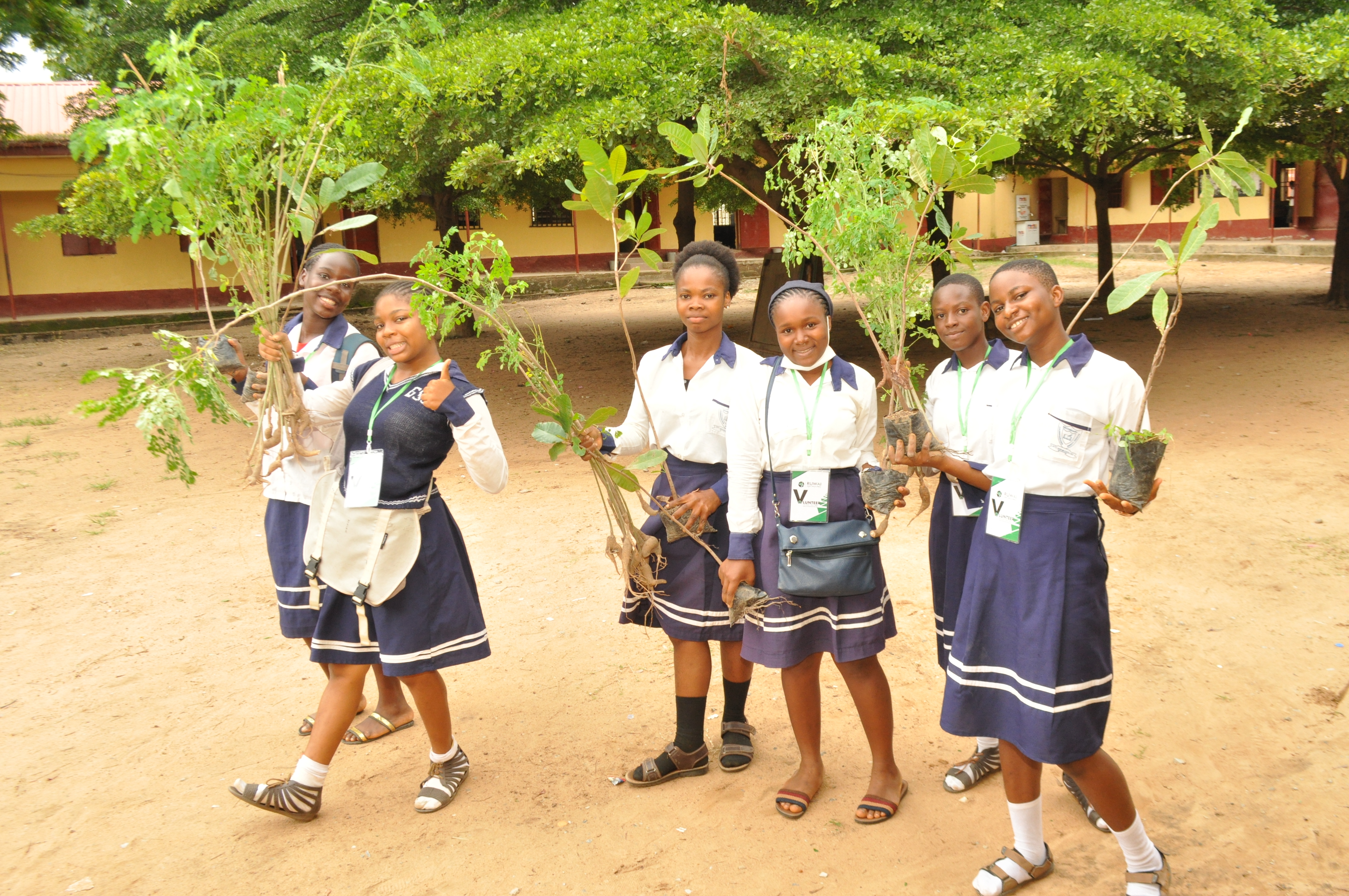 PLANT 100 FRUIT TREES IN EACH SCHOOL