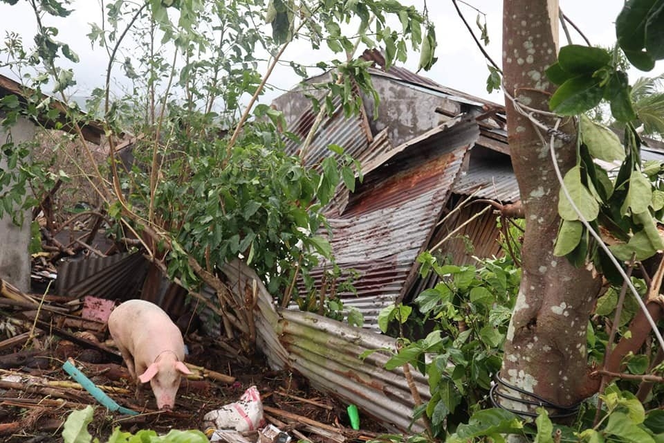Typhoon Rolly (GONI) Emergency Response for Luzon