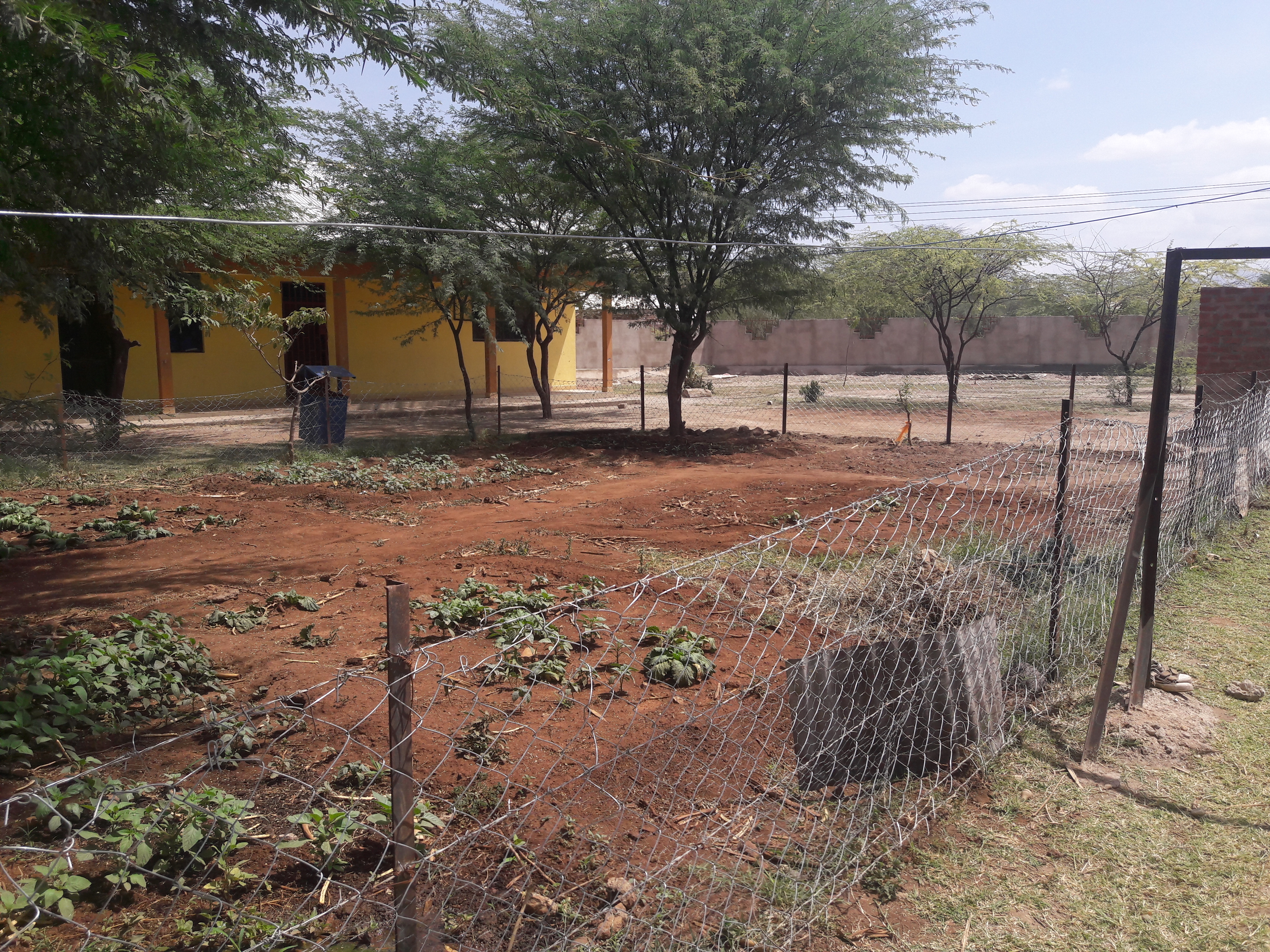 Ensuring Food Security for Children in Maasailand