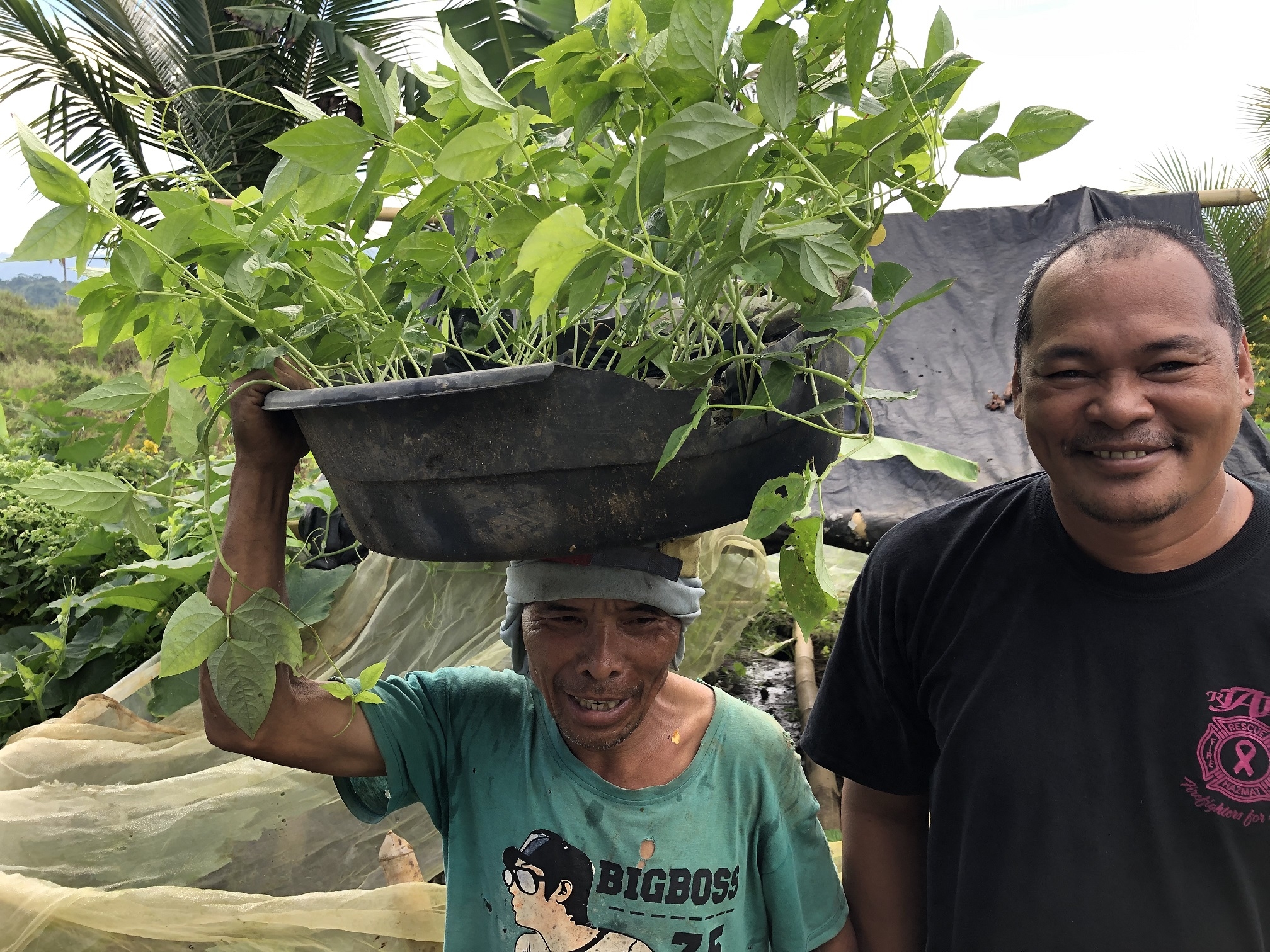 Seedlings and Organic Fertilizer for Food Supply