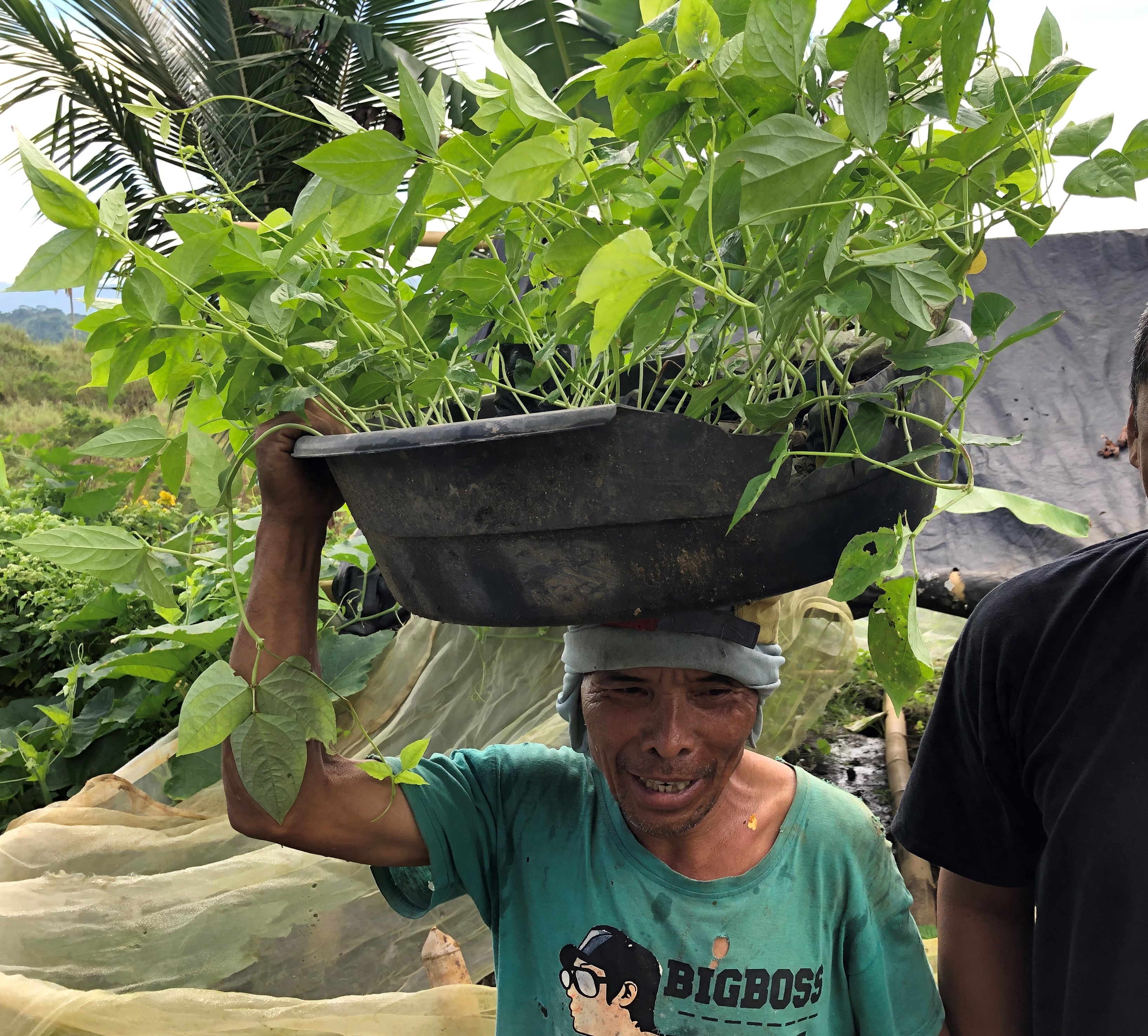 Youth-led Permaculture Initiative for 800 Youth