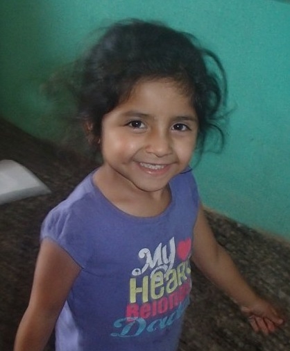 Funding The Integral Heart School in 2021