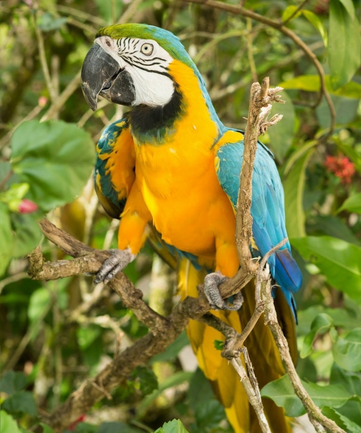 Papi's Playhouse & Special Needs Enrichment Centre