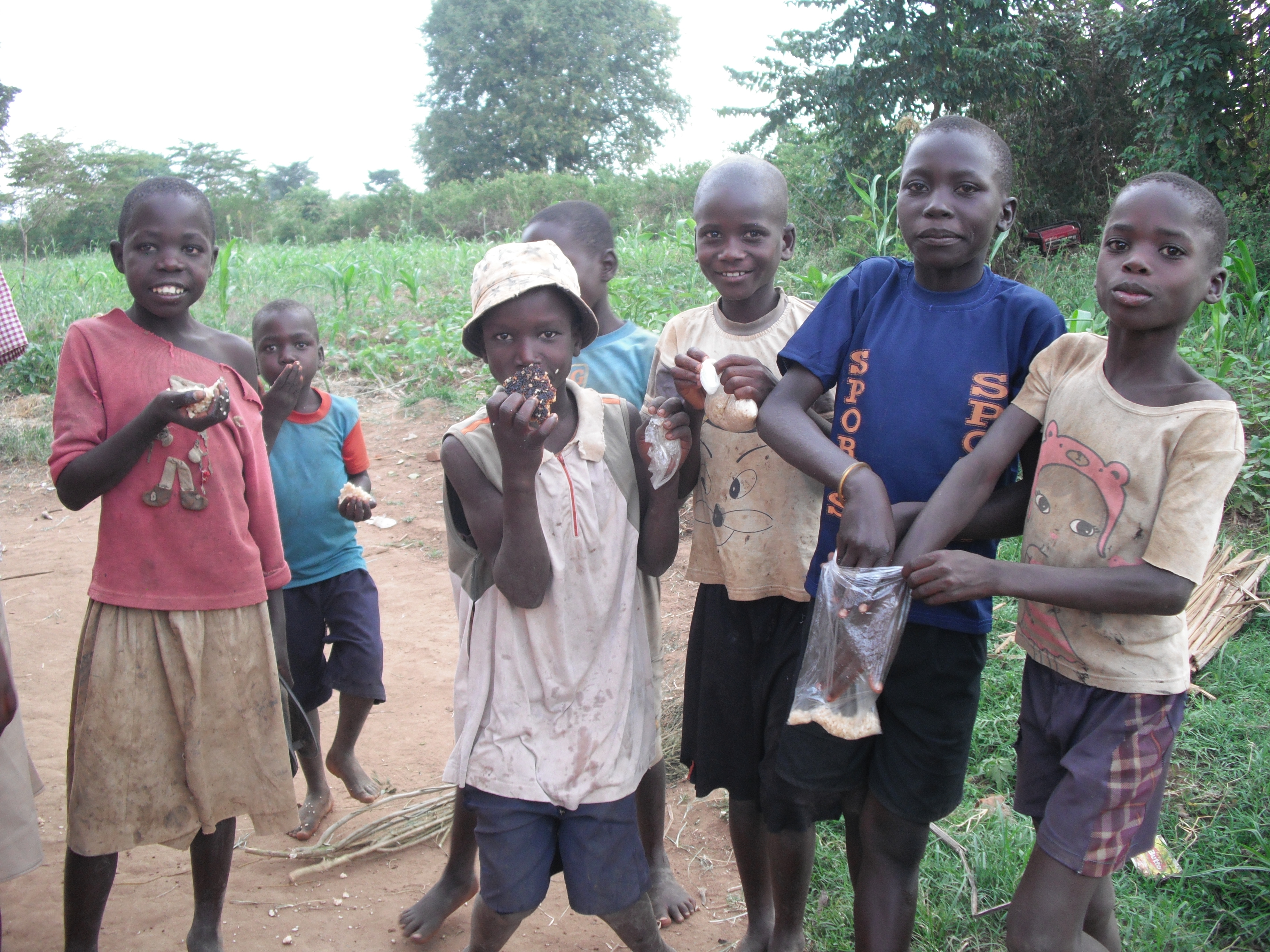 Help Grow Food For Street Kid's (Orphans)