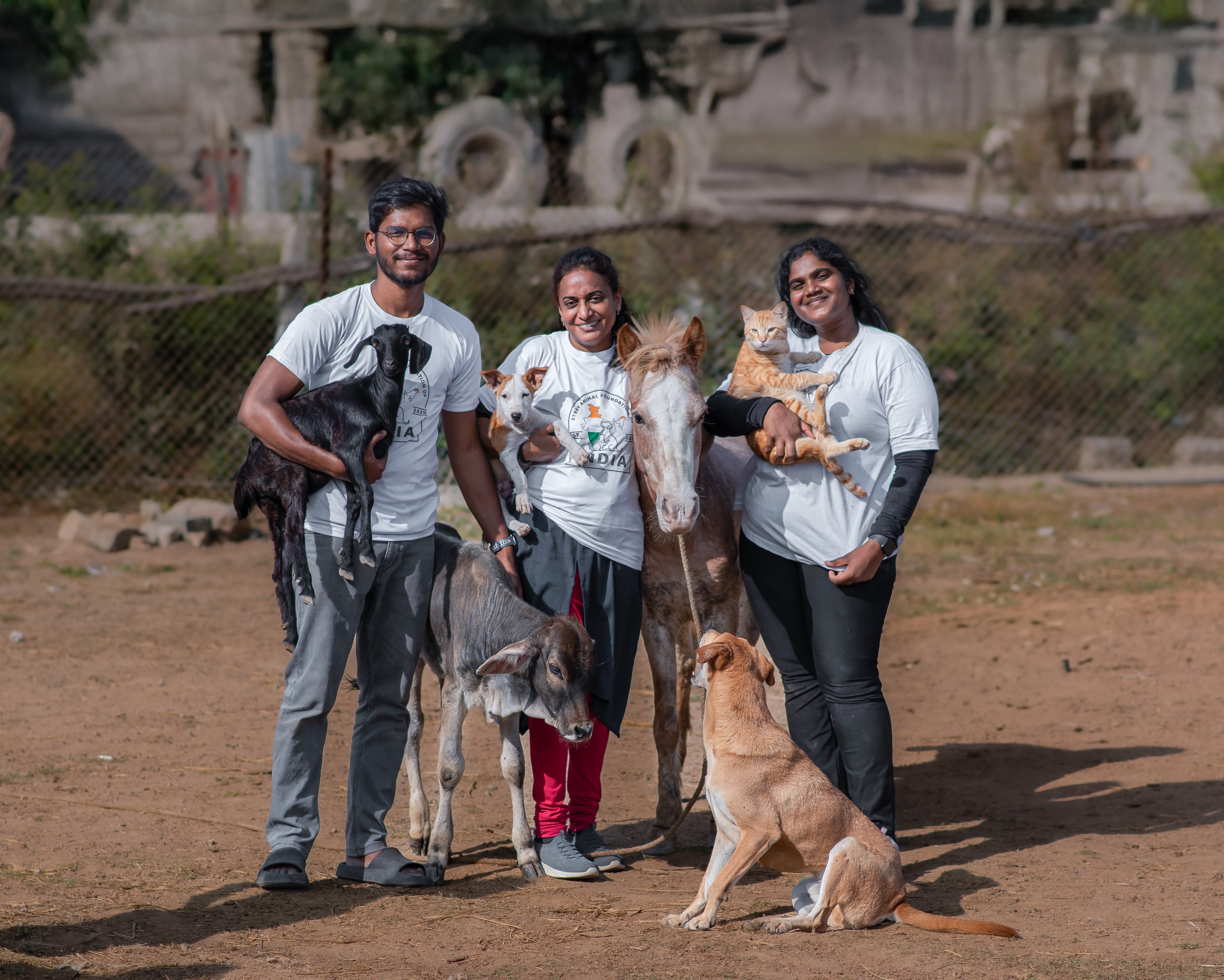 A Better Life For India's Stray Animals
