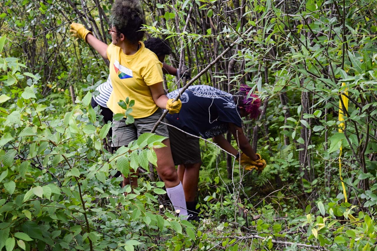 Youth Empowerment Project Summer 2021