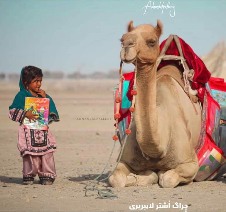 Camel Libraries - Girls Reading to Succeed - GlobalGiving