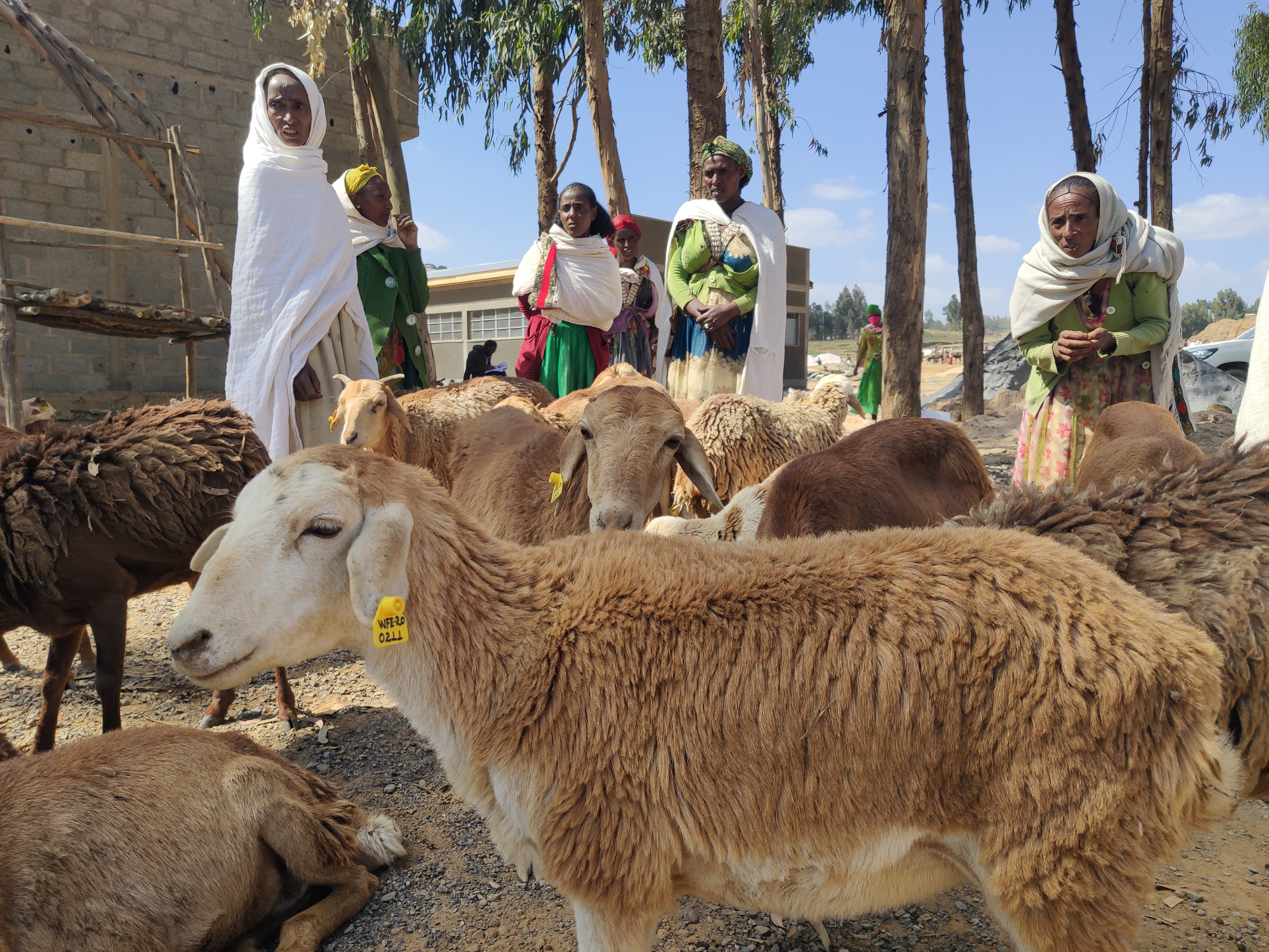 RELIEF FUND: avoiding starvation for 110000 people