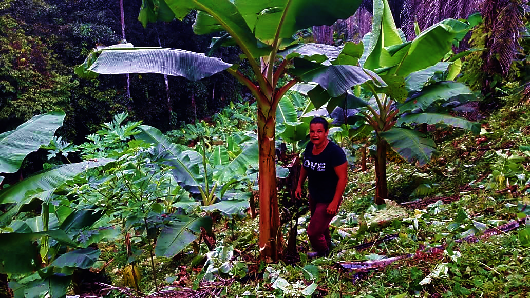 Protect endangered biodiversity & 100 farmer lives